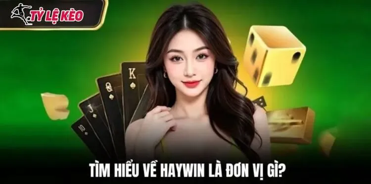 Giới thiệu về thương hiệu uy tín HAYWIN